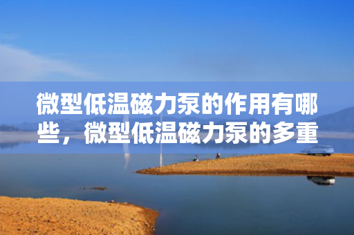 微型低温磁力泵的作用有哪些，微型低温磁力泵的多重功效解析
