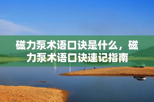 磁力泵术语口诀是什么，磁力泵术语口诀速记指南