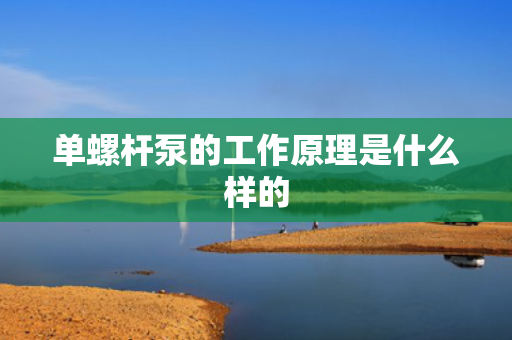 单螺杆泵的工作原理是什么样的