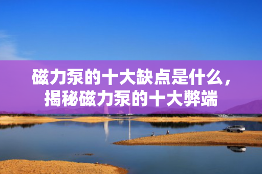 磁力泵的十大缺点是什么，揭秘磁力泵的十大弊端
