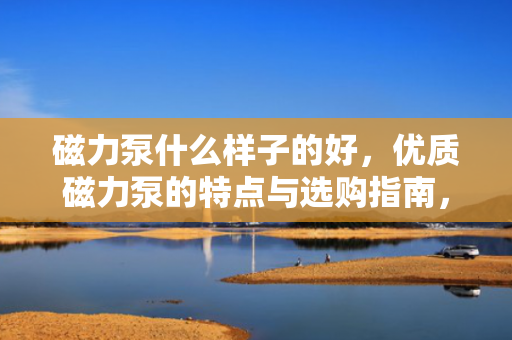 磁力泵什么样子的好，优质磁力泵的特点与选购指南，如何挑选性能卓越的磁力泵