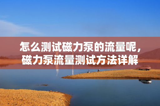 怎么测试磁力泵的流量呢，磁力泵流量测试方法详解