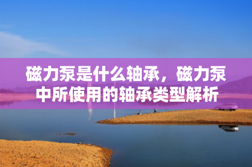 磁力泵是什么轴承，磁力泵中所使用的轴承类型解析