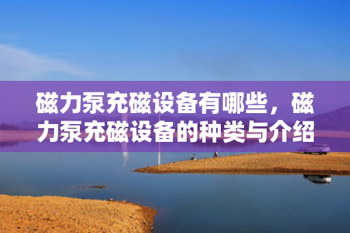 磁力泵充磁设备有哪些，磁力泵充磁设备的种类与介绍