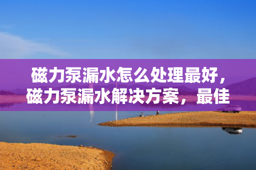 磁力泵漏水怎么处理最好，磁力泵漏水解决方案，最佳处理方法揭秘
