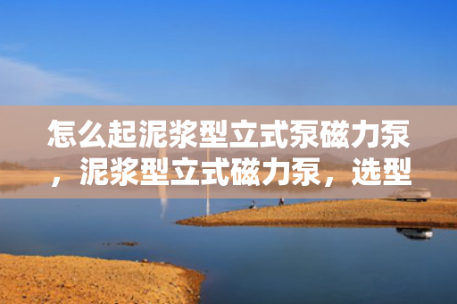 怎么起泥浆型立式泵磁力泵，泥浆型立式磁力泵，选型、使用与维护全攻略