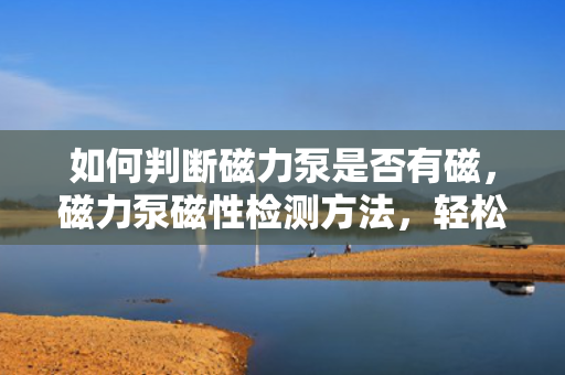 如何判断磁力泵是否有磁，磁力泵磁性检测方法，轻松判断磁力泵是否具有磁性