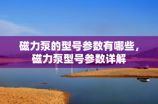 磁力泵的型号参数有哪些，磁力泵型号参数详解