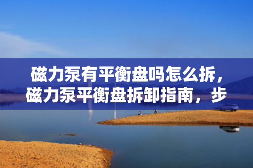 磁力泵有平衡盘吗怎么拆，磁力泵平衡盘拆卸指南，步骤详解与注意事项