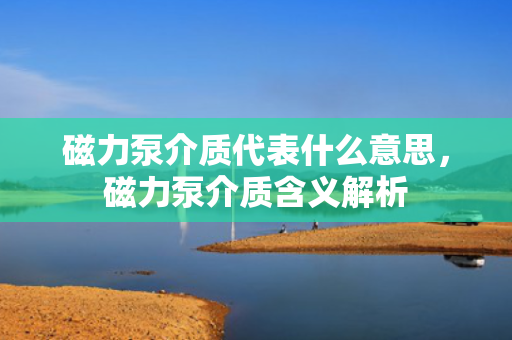 磁力泵介质代表什么意思，磁力泵介质含义解析