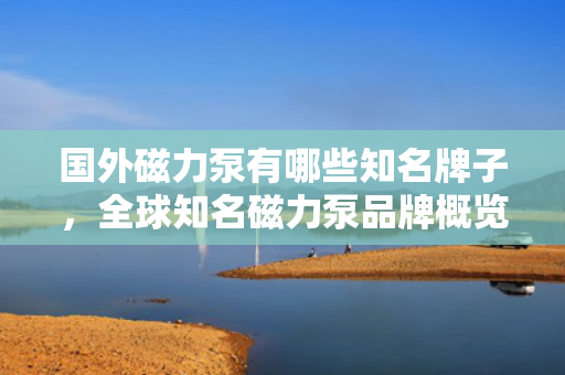 国外磁力泵有哪些知名牌子，全球知名磁力泵品牌概览