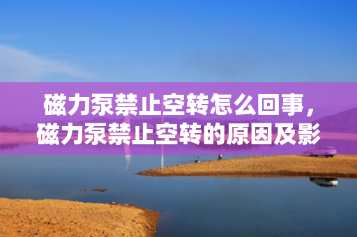 磁力泵禁止空转怎么回事，磁力泵禁止空转的原因及影响解析