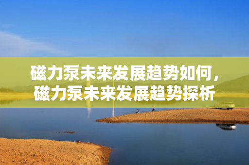 磁力泵未来发展趋势如何，磁力泵未来发展趋势探析