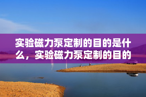 实验磁力泵定制的目的是什么，实验磁力泵定制的目的及意义