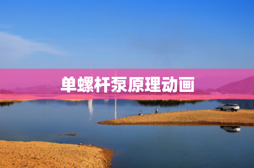 单螺杆泵原理动画
