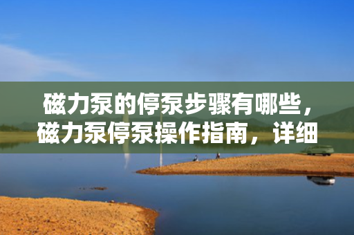 磁力泵的停泵步骤有哪些，磁力泵停泵操作指南，详细步骤解析