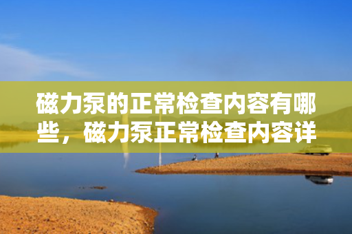 磁力泵的正常检查内容有哪些，磁力泵正常检查内容详解