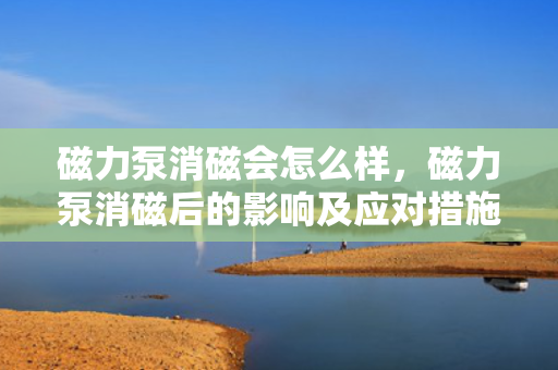 磁力泵消磁会怎么样，磁力泵消磁后的影响及应对措施