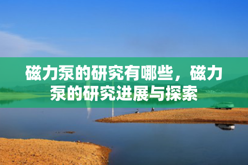 磁力泵的研究有哪些，磁力泵的研究进展与探索