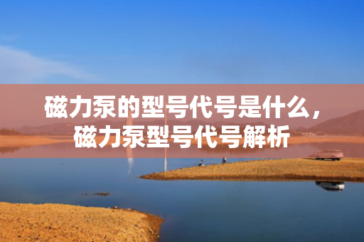 磁力泵的型号代号是什么，磁力泵型号代号解析