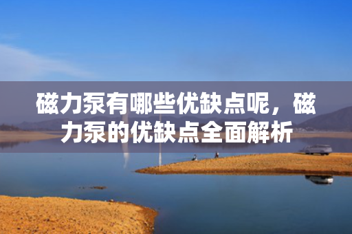 磁力泵有哪些优缺点呢，磁力泵的优缺点全面解析