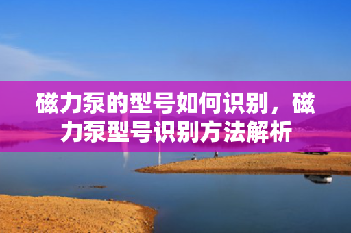 磁力泵的型号如何识别，磁力泵型号识别方法解析
