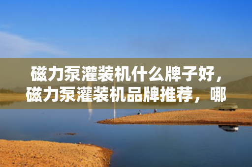 磁力泵灌装机什么牌子好，磁力泵灌装机品牌推荐，哪个牌子更胜一筹？