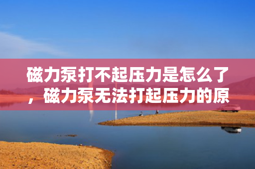磁力泵打不起压力是怎么了，磁力泵无法打起压力的原因及解决方法