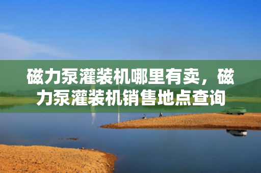 磁力泵灌装机哪里有卖，磁力泵灌装机销售地点查询