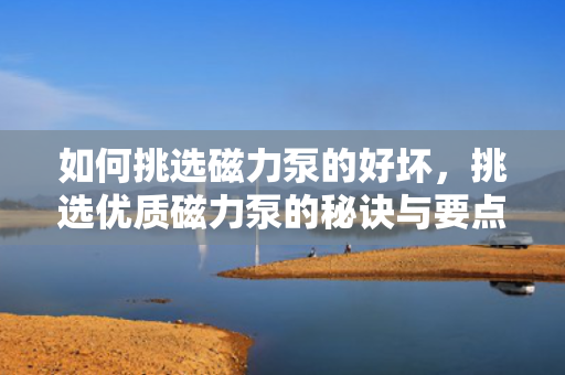 如何挑选磁力泵的好坏，挑选优质磁力泵的秘诀与要点