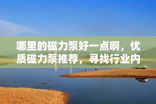 哪里的磁力泵好一点啊，优质磁力泵推荐，寻找行业内的佼佼者