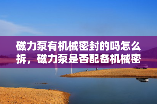 磁力泵有机械密封的吗怎么拆，磁力泵是否配备机械密封及拆卸方法解析