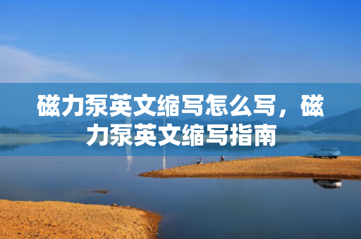 磁力泵英文缩写怎么写，磁力泵英文缩写指南