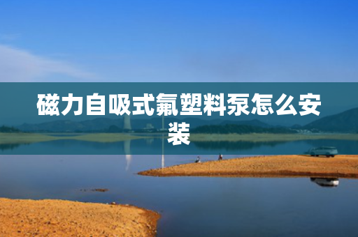 磁力自吸式氟塑料泵怎么安装