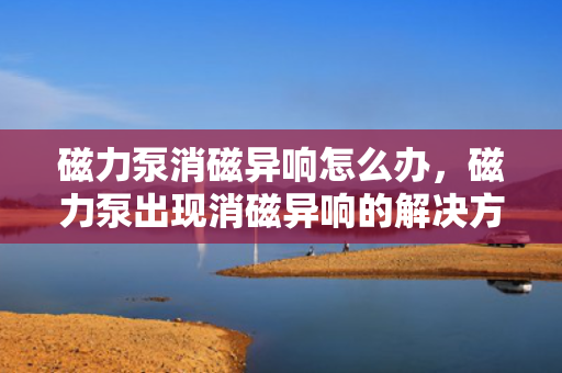 磁力泵消磁异响怎么办，磁力泵出现消磁异响的解决方法
