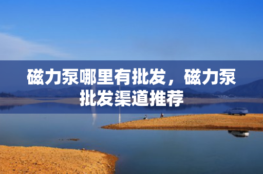 磁力泵哪里有批发，磁力泵批发渠道推荐