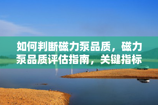 如何判断磁力泵品质，磁力泵品质评估指南，关键指标与选购建议