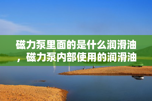 磁力泵里面的是什么润滑油，磁力泵内部使用的润滑油是何种类型？