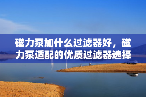 磁力泵加什么过滤器好，磁力泵适配的优质过滤器选择指南