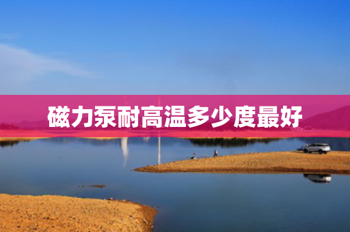 磁力泵耐高温多少度最好