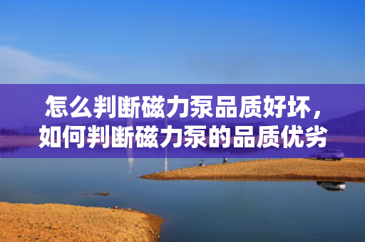 怎么判断磁力泵品质好坏，如何判断磁力泵的品质优劣？