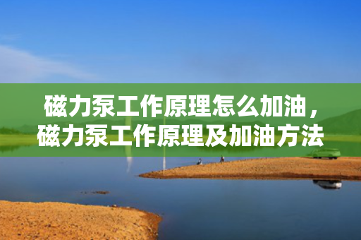 磁力泵工作原理怎么加油，磁力泵工作原理及加油方法解析