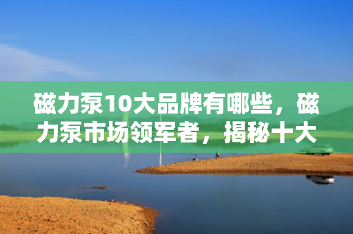 磁力泵10大品牌有哪些，磁力泵市场领军者，揭秘十大知名品牌