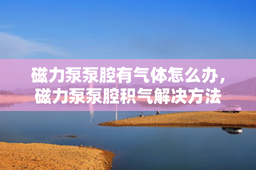 磁力泵泵腔有气体怎么办，磁力泵泵腔积气解决方法
