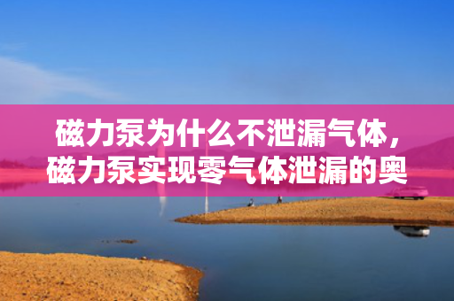 磁力泵为什么不泄漏气体，磁力泵实现零气体泄漏的奥秘