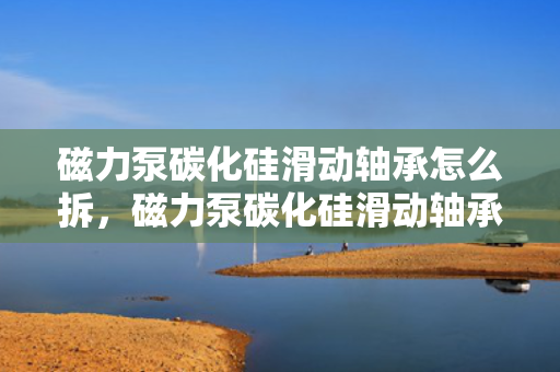 磁力泵碳化硅滑动轴承怎么拆，磁力泵碳化硅滑动轴承拆卸指南