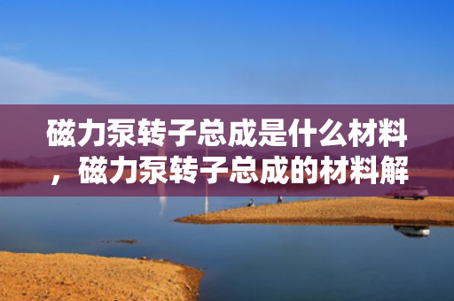磁力泵转子总成是什么材料，磁力泵转子总成的材料解析