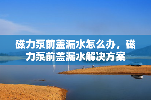 磁力泵前盖漏水怎么办，磁力泵前盖漏水解决方案