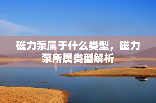 磁力泵属于什么类型，磁力泵所属类型解析