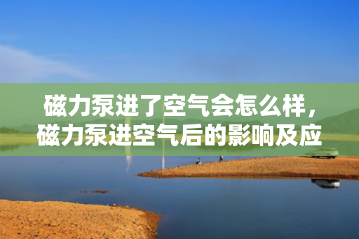 磁力泵进了空气会怎么样，磁力泵进空气后的影响及应对措施